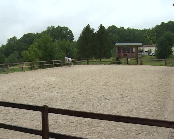 Reitturnier Birkenreuth/Ofr. 2020