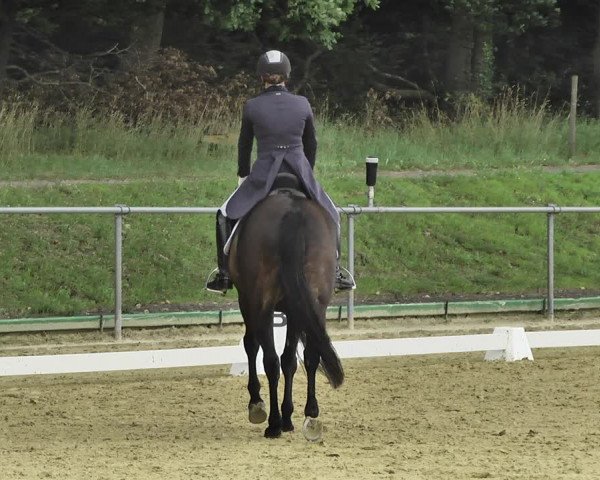 Reitturnier Reitanlage Birkenhof, Perl-Sinz 2020
