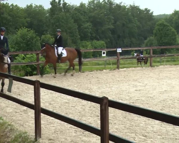 Reitturnier Birkenreuth/Ofr. 2020