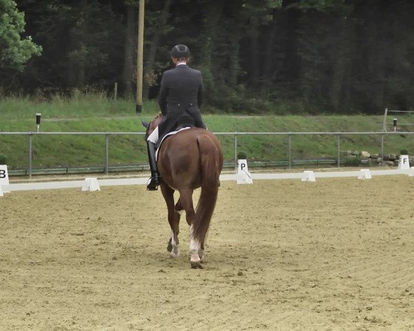 Reitturnier Reitanlage Birkenhof, Perl-Sinz 2020