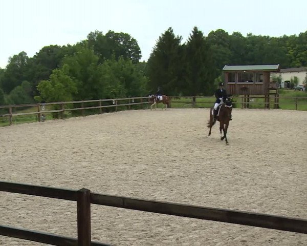 Reitturnier Birkenreuth/Ofr. 2020