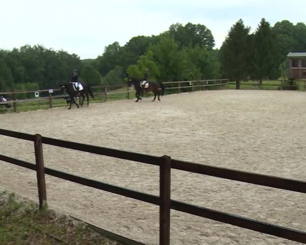 Reitturnier Birkenreuth/Ofr. 2020