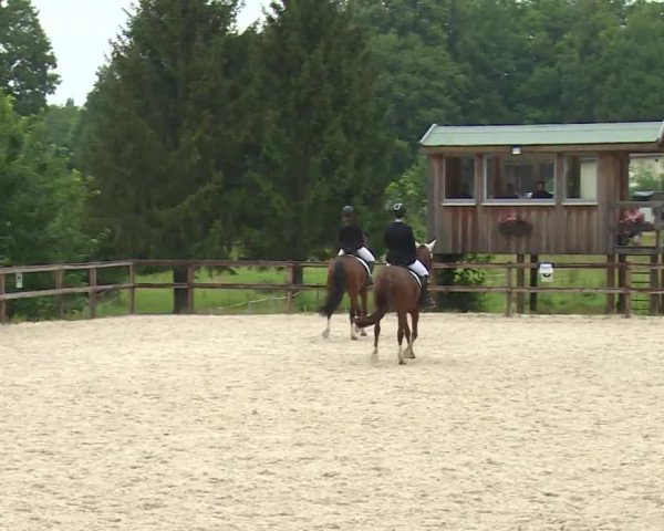 Reitturnier Birkenreuth/Ofr. 2020