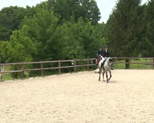Reitturnier Birkenreuth/Ofr. 2020
