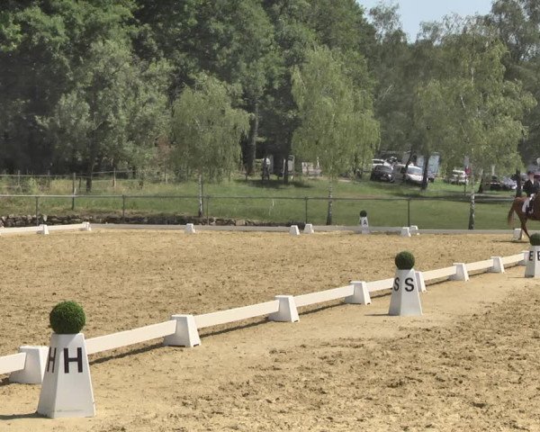 Reitturnier Reitanlage Birkenhof, Perl-Sinz 2020