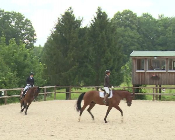 Reitturnier Birkenreuth/Ofr. 2020