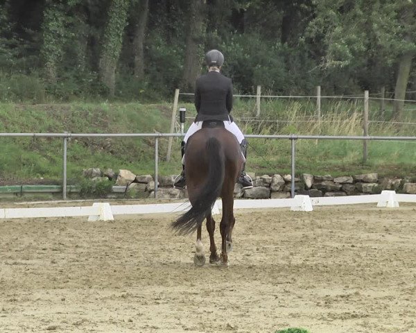Reitturnier Reitanlage Birkenhof, Perl-Sinz 2020
