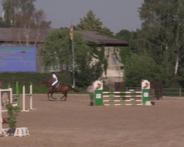 Reitturnier Pietzpuhl 2020