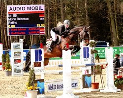 jumper Ratino 55 (Hessian Warmblood, 2007, from Ratino)