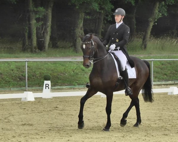 Reitturnier Reitanlage Birkenhof, Perl-Sinz 2020