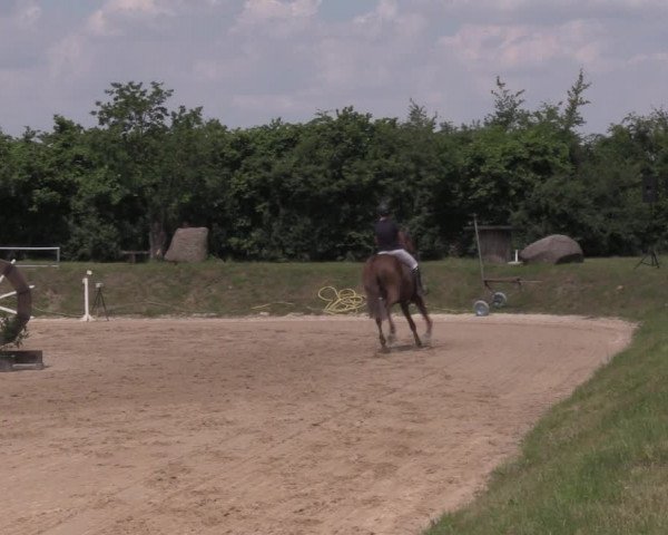 Reitturnier Pietzpuhl 2020