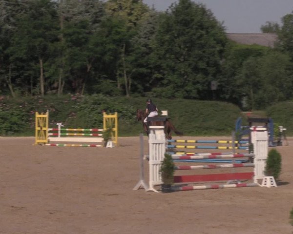 Reitturnier Pietzpuhl 2020