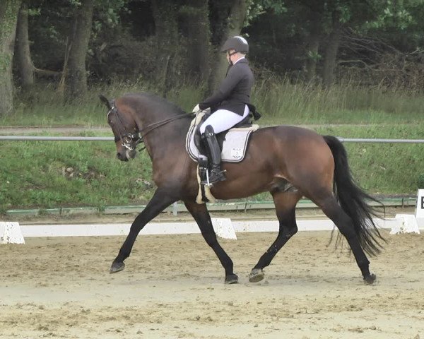 Reitturnier Reitanlage Birkenhof, Perl-Sinz 2020