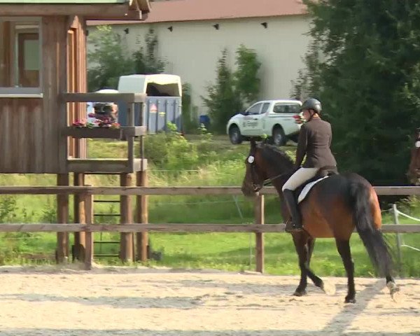 Reitturnier Birkenreuth/Ofr. 2020