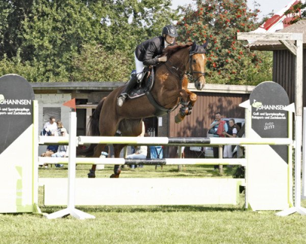 broodmare Escala Bleer (Hanoverian, 2007, from Escudo II)