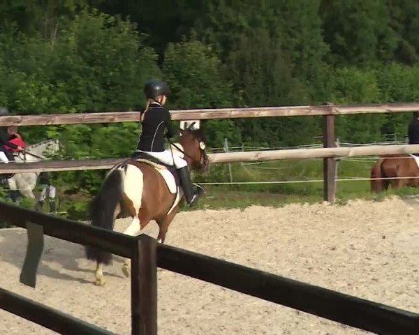 Reitturnier Birkenreuth/Ofr. 2020