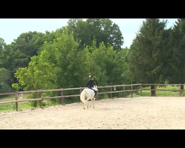 Reitturnier Birkenreuth/Ofr. 2020
