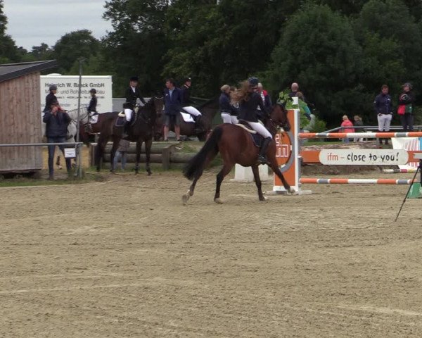 Reitturnier Coesfeld/Lette 2020