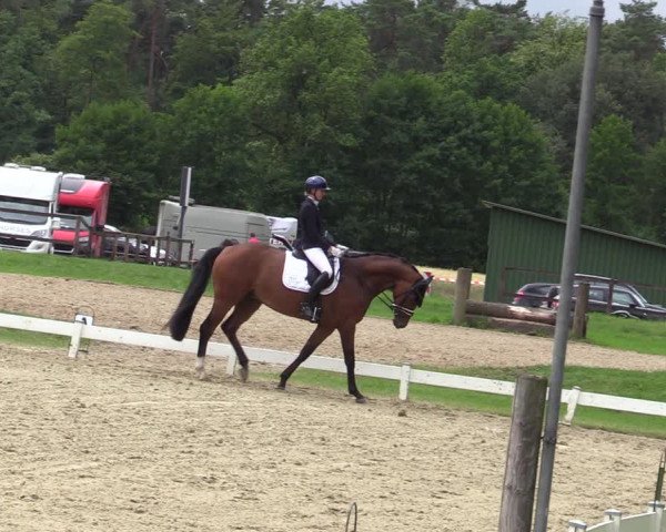 Reitturnier Coesfeld/Lette 2020