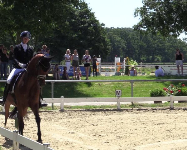 Reitturnier Coesfeld/Lette 2020