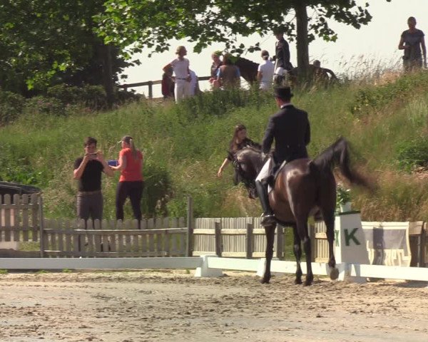 Reitturnier Schülp / Rendsburg 2020