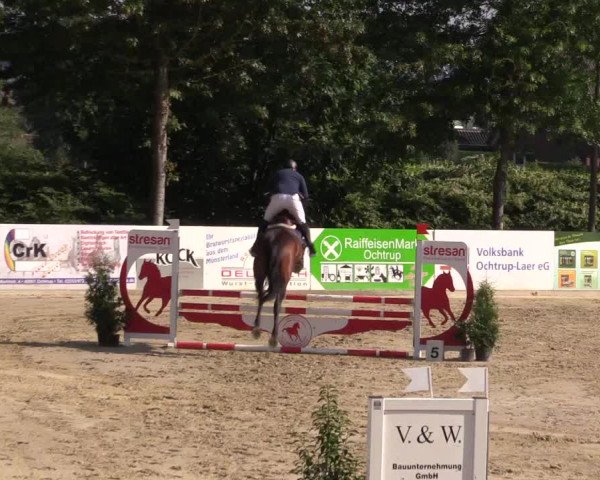 Dressur- und Springturnier Ochtrup 2021