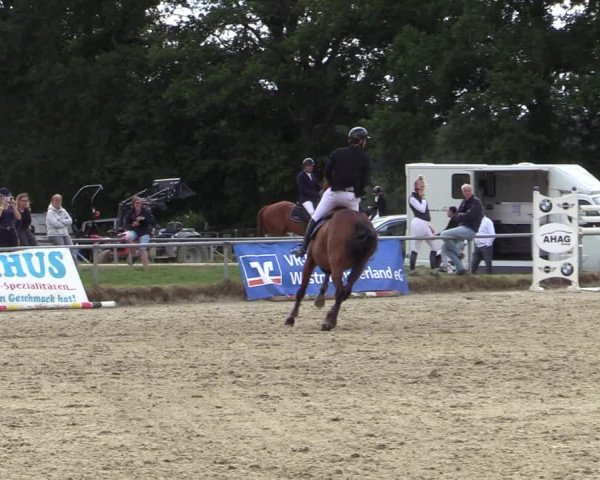 Reitturnier Coesfeld/Lette 2020