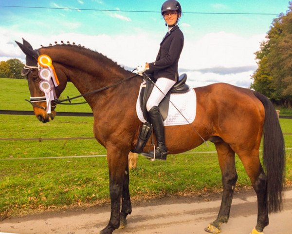 dressage horse Fafarello 4 (Hanoverian, 1995, from Frappant)