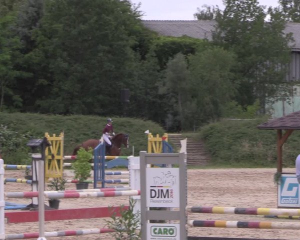 Reitturnier Pietzpuhl 2020