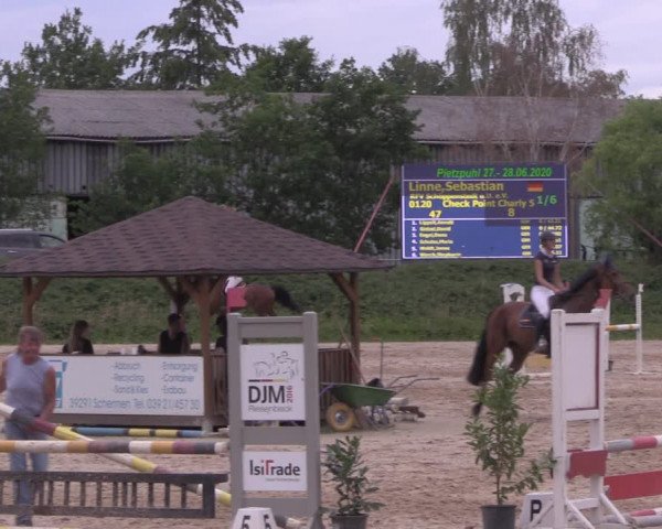 Reitturnier Pietzpuhl 2020