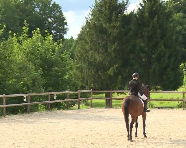 Reitturnier Birkenreuth/Ofr. 2020