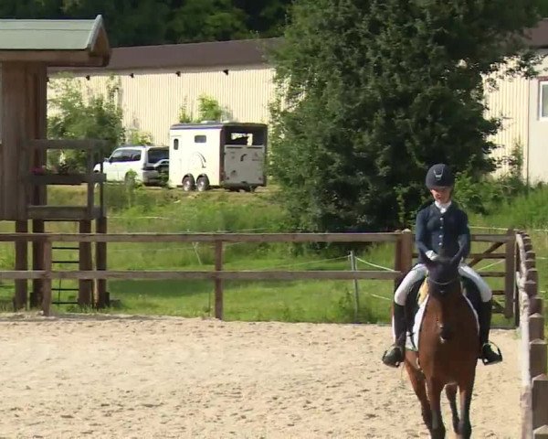 Reitturnier Birkenreuth/Ofr. 2020