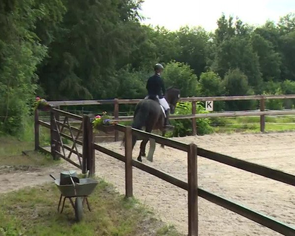 Reitturnier Birkenreuth/Ofr. 2020