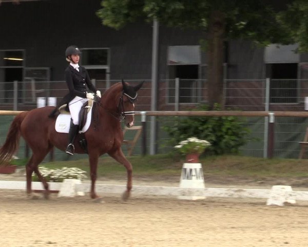 Reitturnier Halver 2020