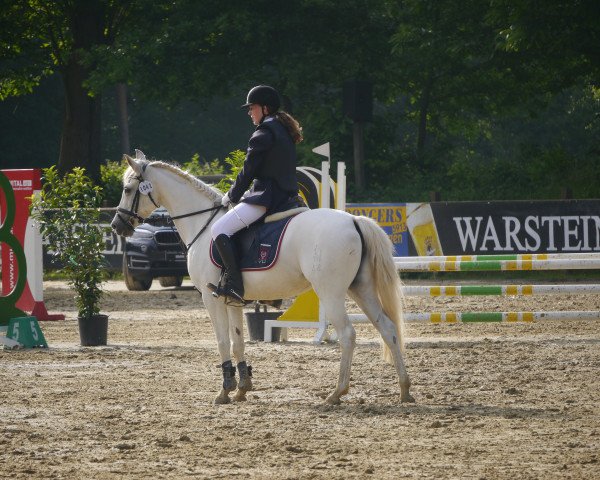 jumper Maira (German Riding Pony, 2004, from Monte Verdi)
