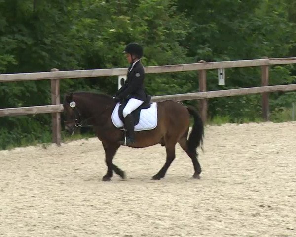 Reitturnier Birkenreuth/Ofr. 2020