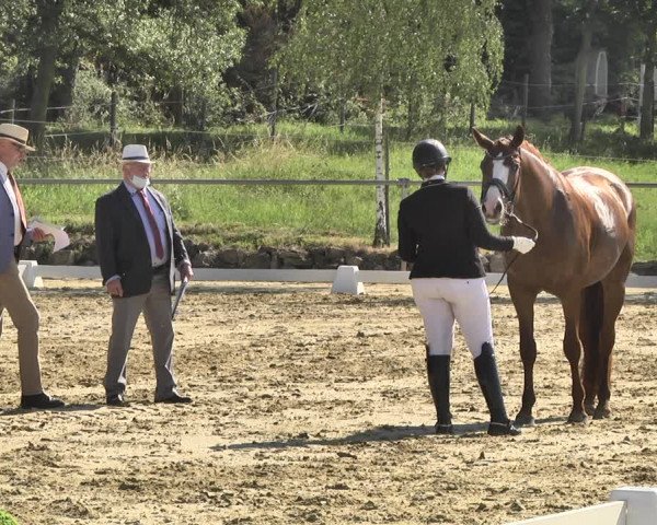 Reitturnier Reitanlage Birkenhof, Perl-Sinz 2020