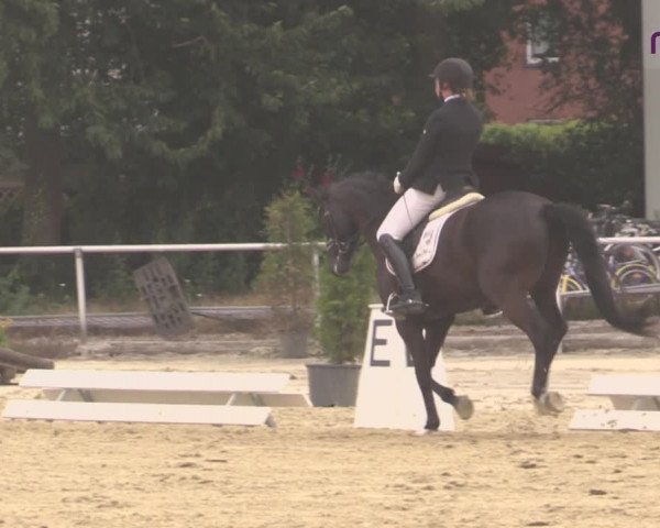 Reitturnier Hünxe-Bruckhausen 2020