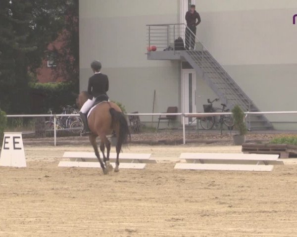 Reitturnier Hünxe-Bruckhausen 2020