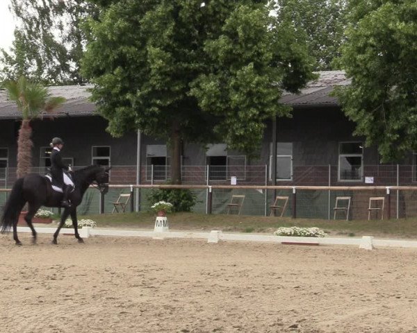 Reitturnier Halver 2020