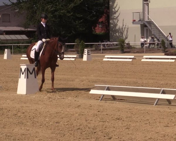 Reitturnier Hünxe-Bruckhausen 2020