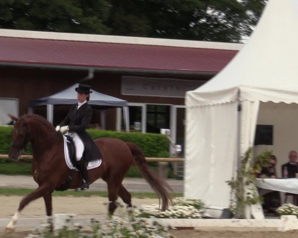 Reitturnier Halver 2020
