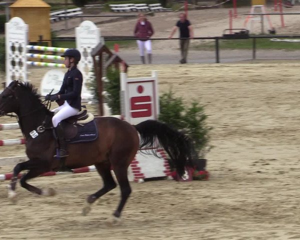 Reitturnier Hamm-Rhynern 2020