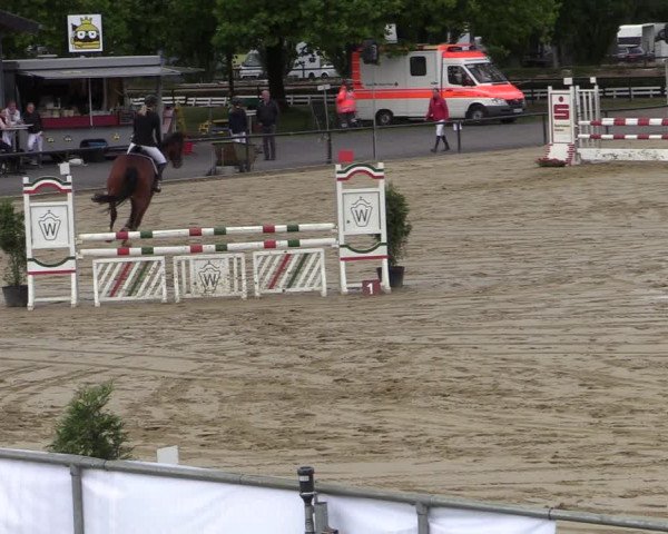 Reitturnier Hamm-Rhynern 2020