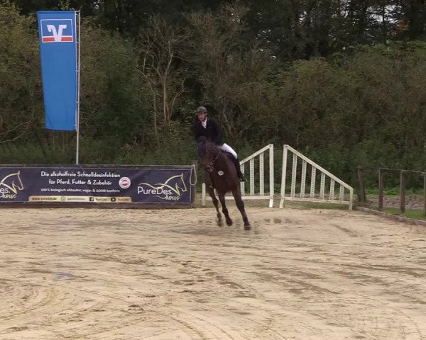 Reitturnier Everswinkel 2021