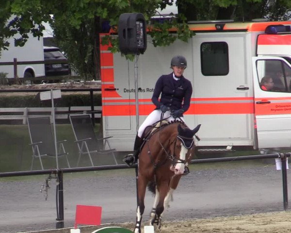 Reitturnier Hamm-Rhynern 2020