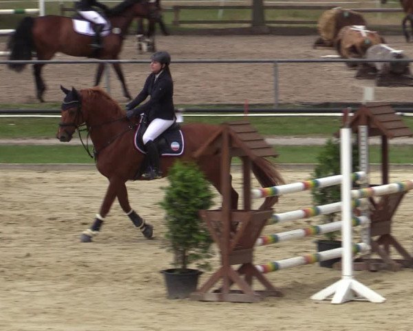 Reitturnier Hamm-Rhynern 2020