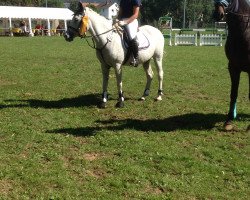 jumper Magic Merlin 11 (Pony without race description, 1998, from Unbekannt Pony)