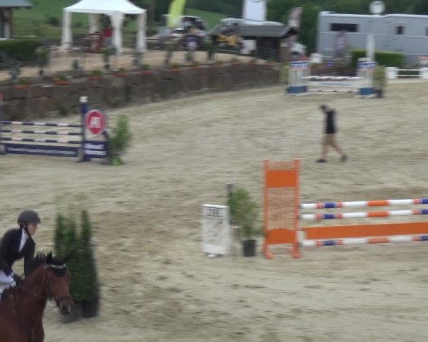 Reitturnier Lindlar-Süttenbach 2020