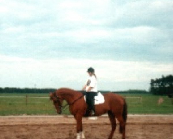 broodmare Linda (Noble Warmblood, 1988, from Largos 1431)